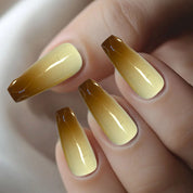 A33 Winter Love Song:Niche design Maillard gradient press on nails