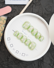 zb8..Beautiful and charming with nails